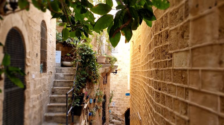 סיור שקיעה מרתק בסמטאות יפו, 3500 שנה אחורה בזמן