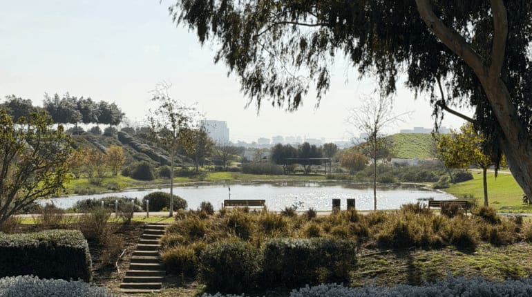 פסטיבל סאמסאנה Samsana Festival