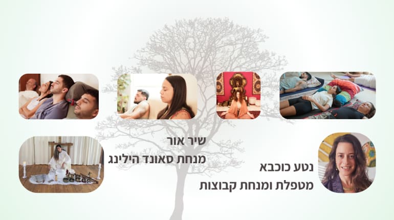 Reset למערכת העצבים