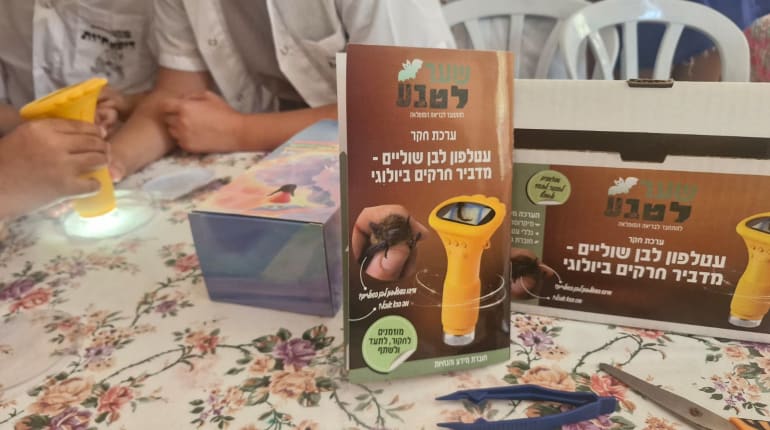 סדנת חקר: עטלפון לבן שוליים - מדביר חרקים ביולוגי