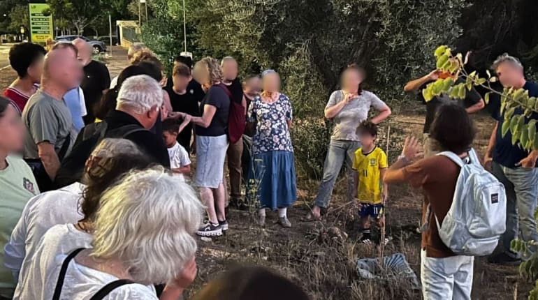 סיור עטלפים ליד הבית