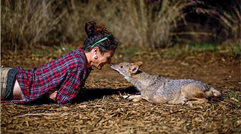  סיור תצפיות על חיי הבר בנחל הירקון 