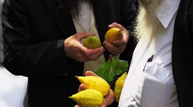 סוכות ברחוב החרדי: סיור חגיגי בהפנינג הכי ירוק בעיר י