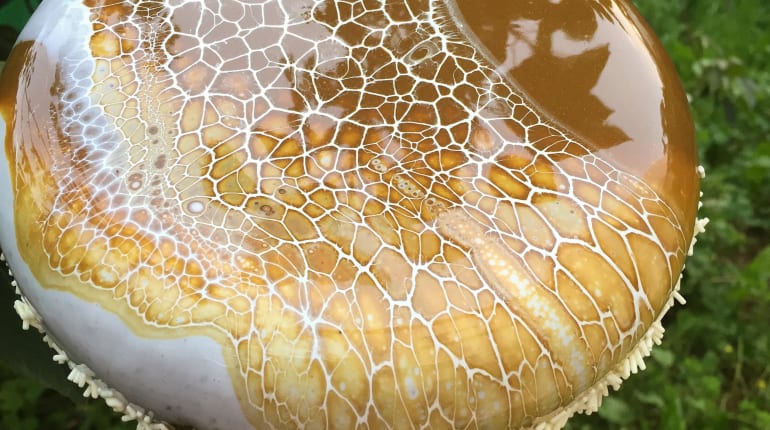 סדנת ראווה- בואו ללמוד להכין פטיסרי מודרני 