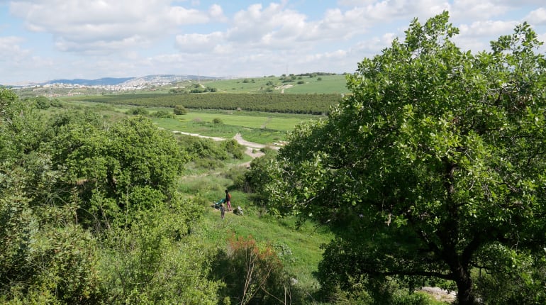 טוסקנה הישראלית: סיור מים, אמנות ואוכל טעים | פרטי 