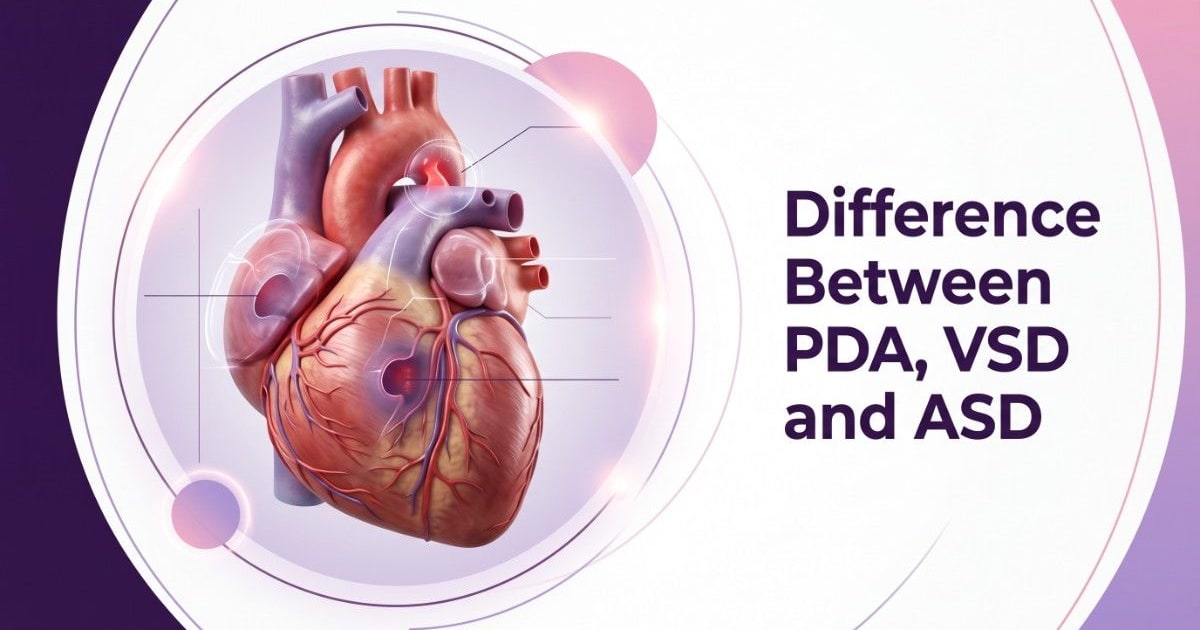 Difference between PDA, VSD and ASD