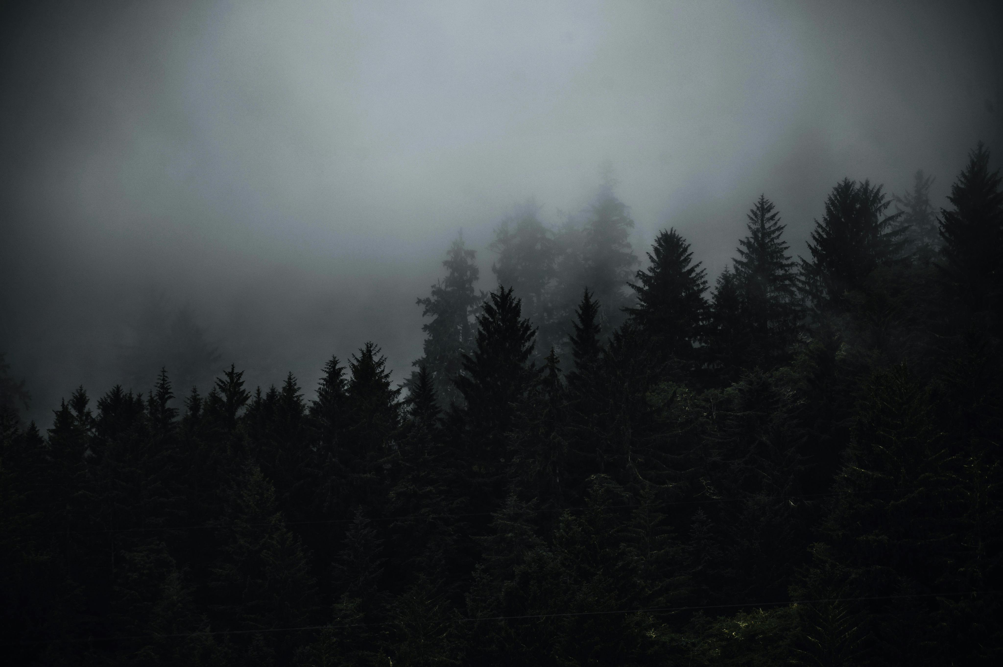 More Work Coming preview