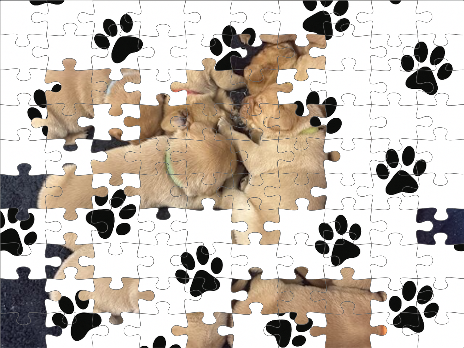 Live puzzle campaign preview