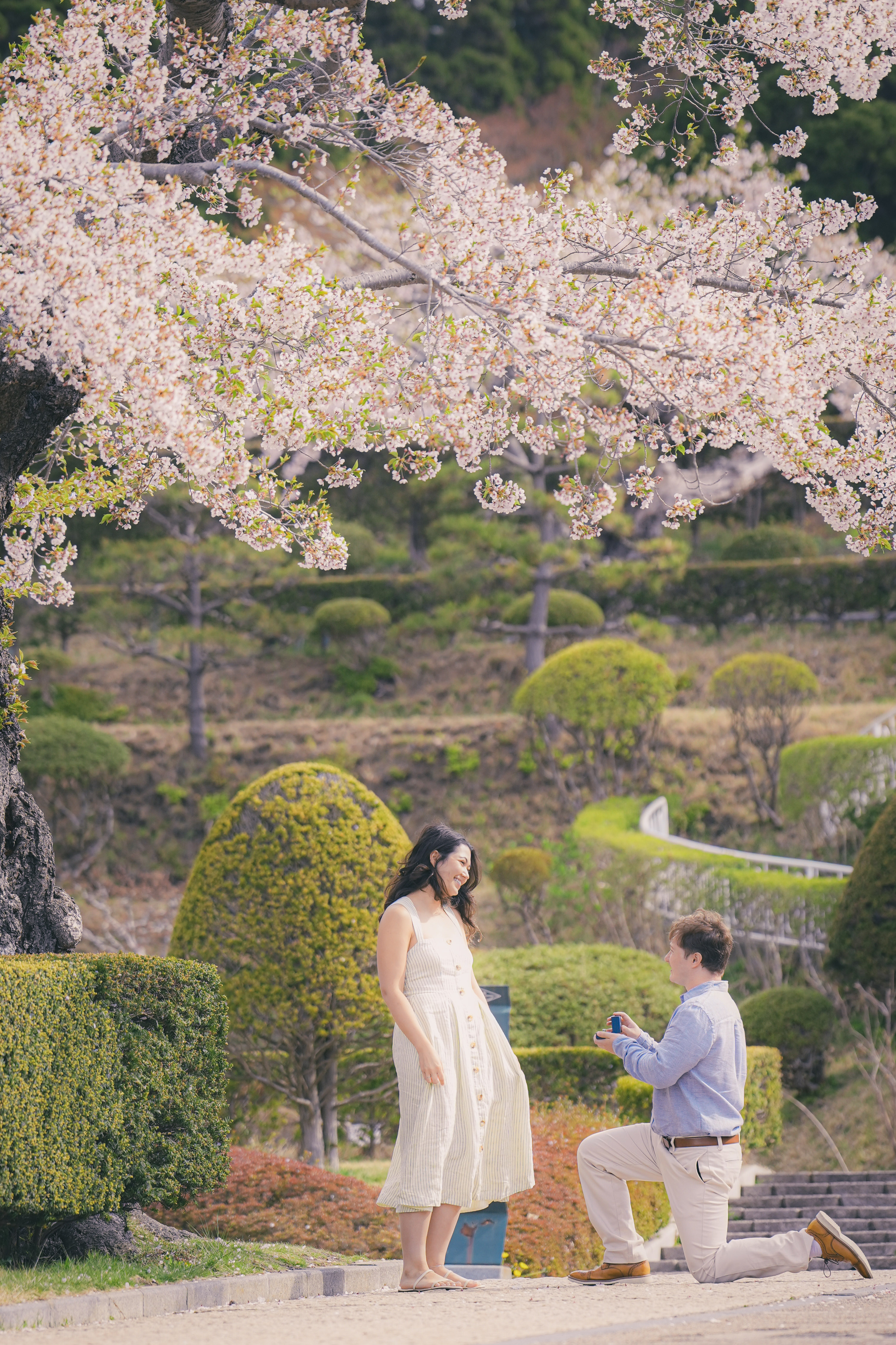 Proposal photo Japan