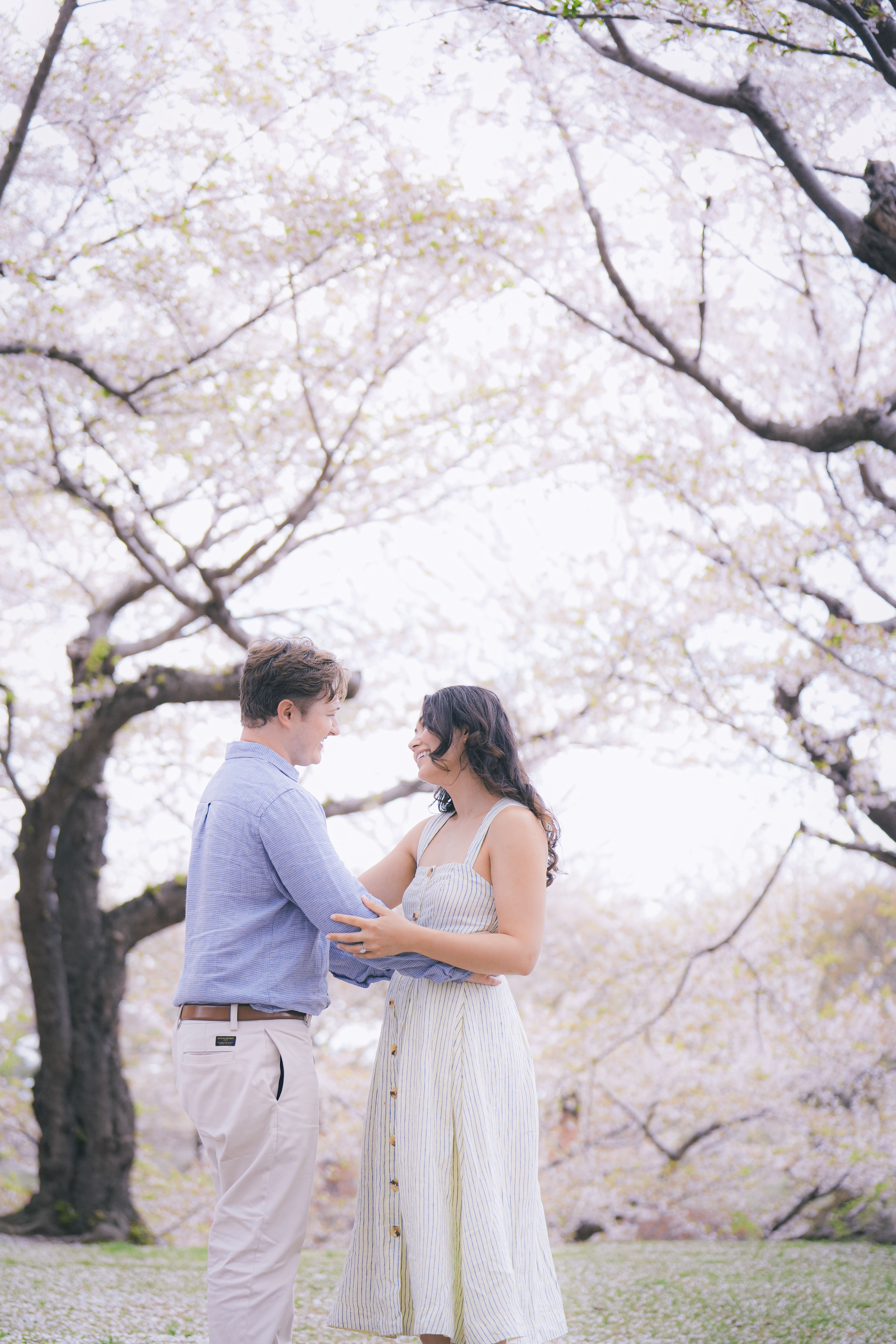 Proposal photo Hokkaido