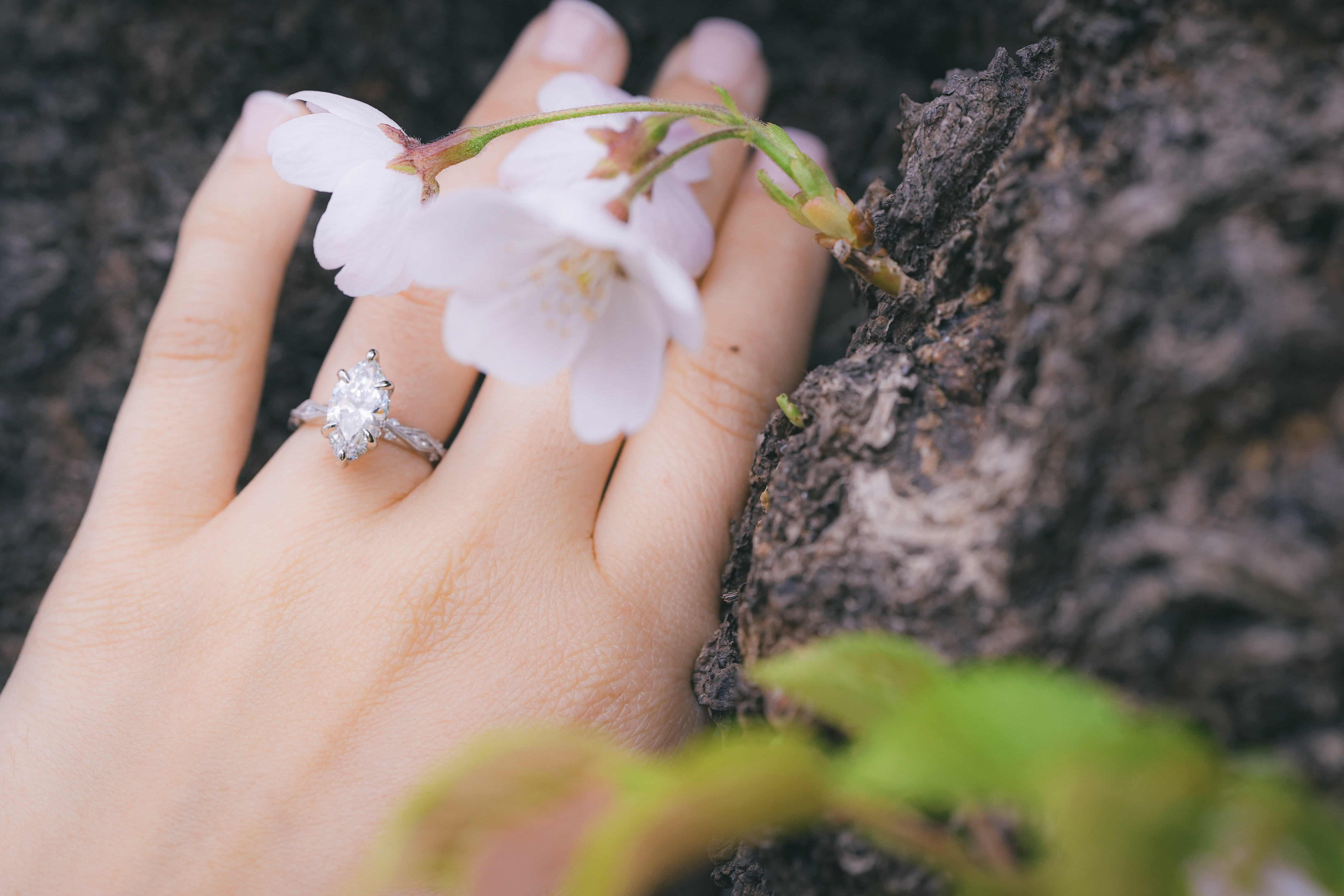 Proposal photo Hakodate