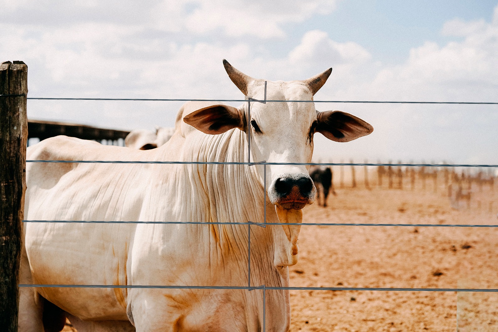 Infraestrutura rural Cordoaço