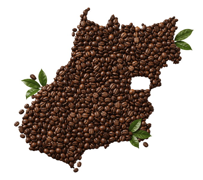 Café Nillo — o sabor de Goiás