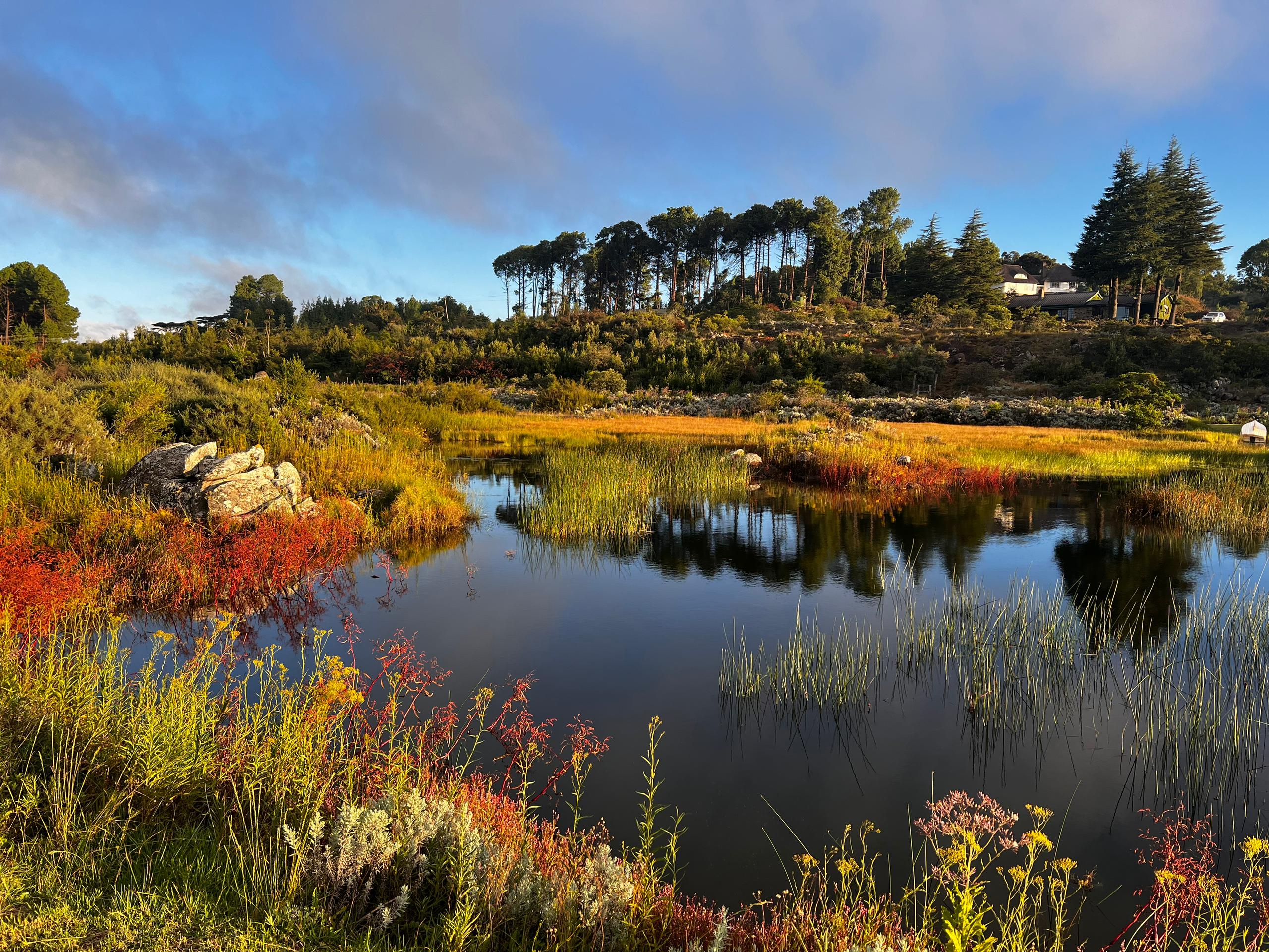 Nyanga House on a hill
