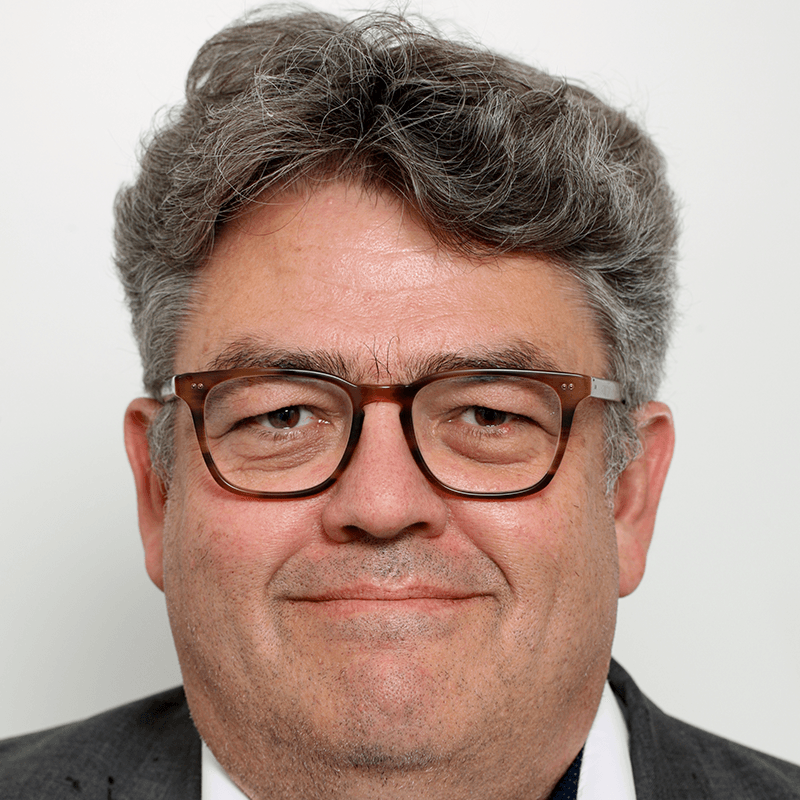 Prof. Dr.  Thomas Hess