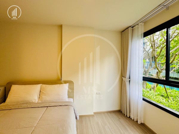 Image of Dcondo Reef , Kathu - CRKT3134