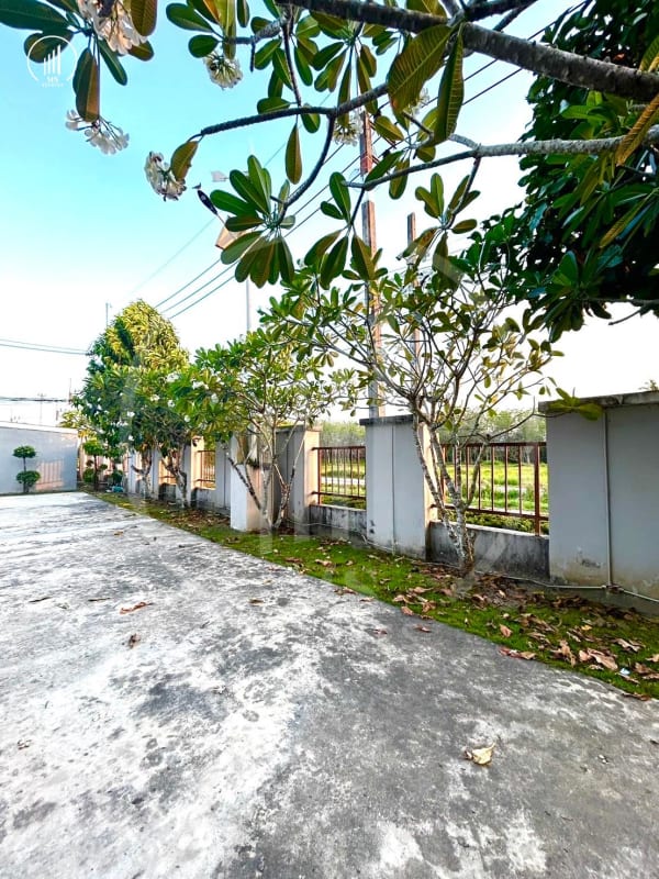 Main image of I leaf Town 2 - HRTL2502