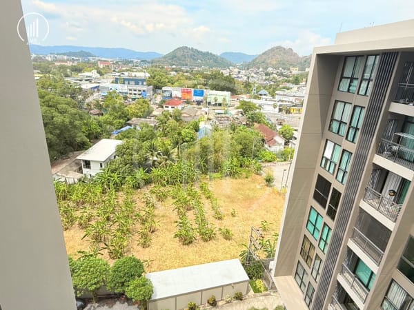 Image of Sugar Palm Suanluang - CSMP2230
