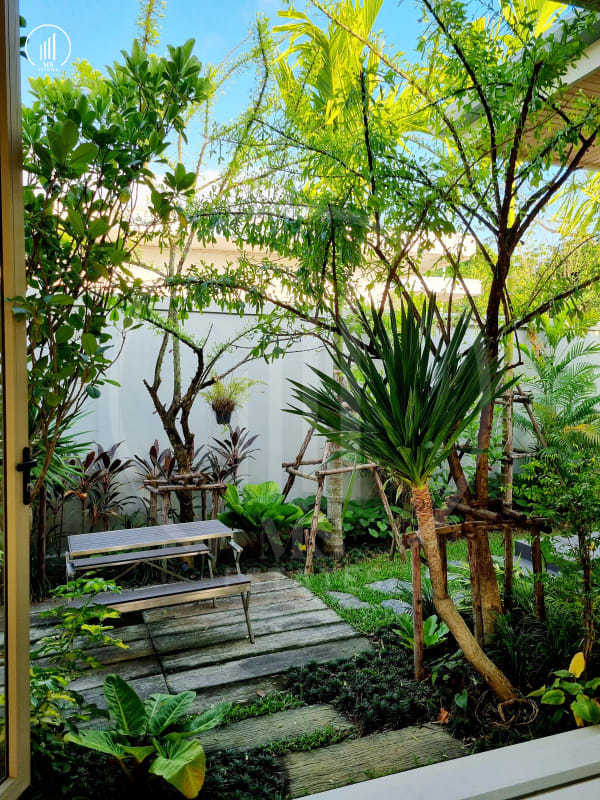 Image of Alisha Forest Thalang - VSTL1603