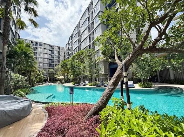 Image of D Condo Reef , Kathu - CRKT2751