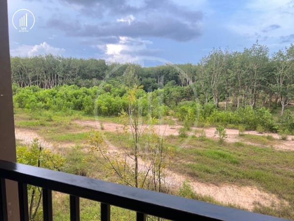 Main image of  The Scape 3 - CSMP2217