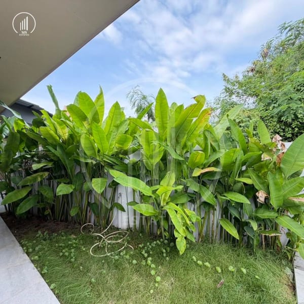 Image of  Pool Villa in Chalong - VRCL3279