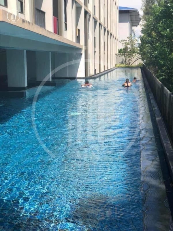 Image of Zcape X2 - CRCT2916