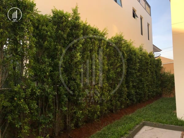 Image of Burasiri Koh Kaew - HSKK1759