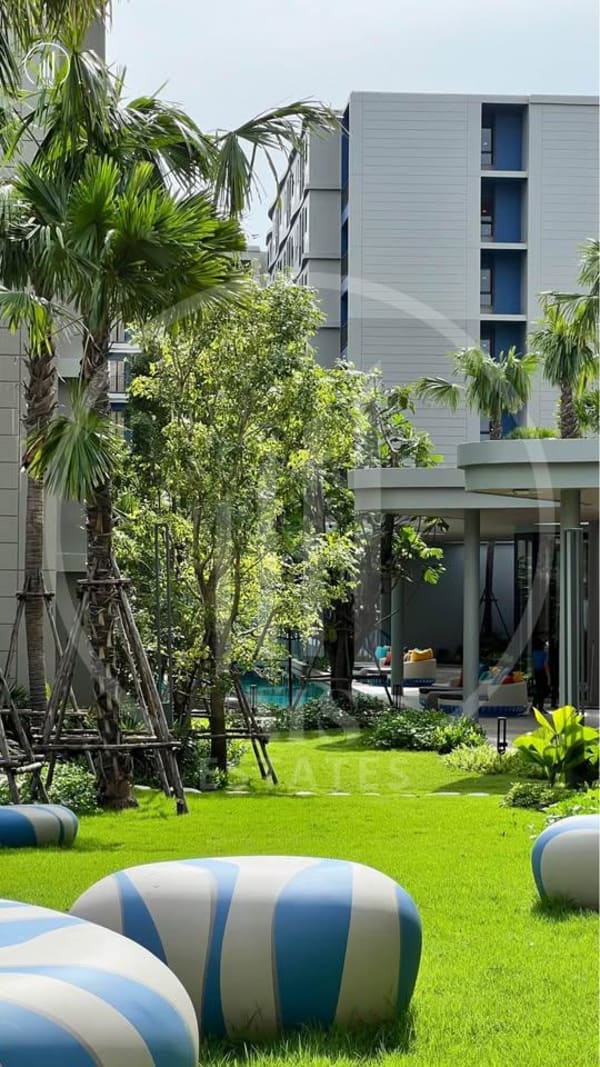 Image of  Dcondo Reef - CRKT2873