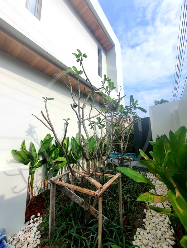 Image of Pool Villa in Chalong for rent - VRCL1373