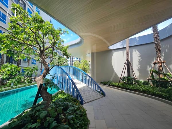 Image of D Condo Reef , Brand New  - CSKT1709