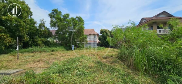 Image of  Land for Sale in Sapam - LSMP2133