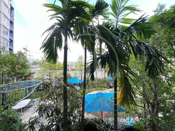 Main image of D Condo Reef - CRKT2282