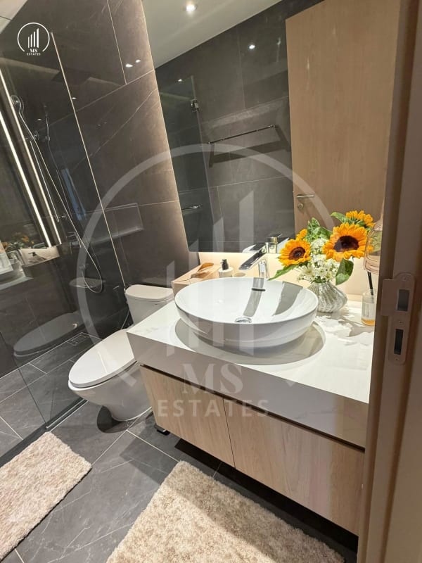 Image of The AQUA  - CRCT3017