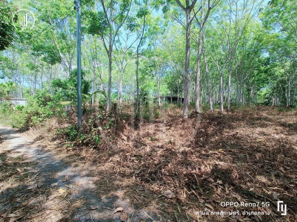 Main image of Land for sale in Baan Khuan - LSTL2212