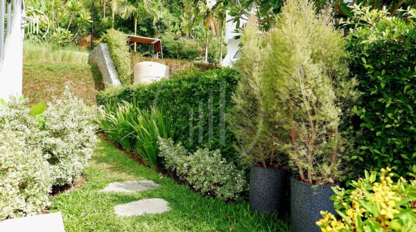 Main image of Modern Seaview Pool Villa - VSPK1517