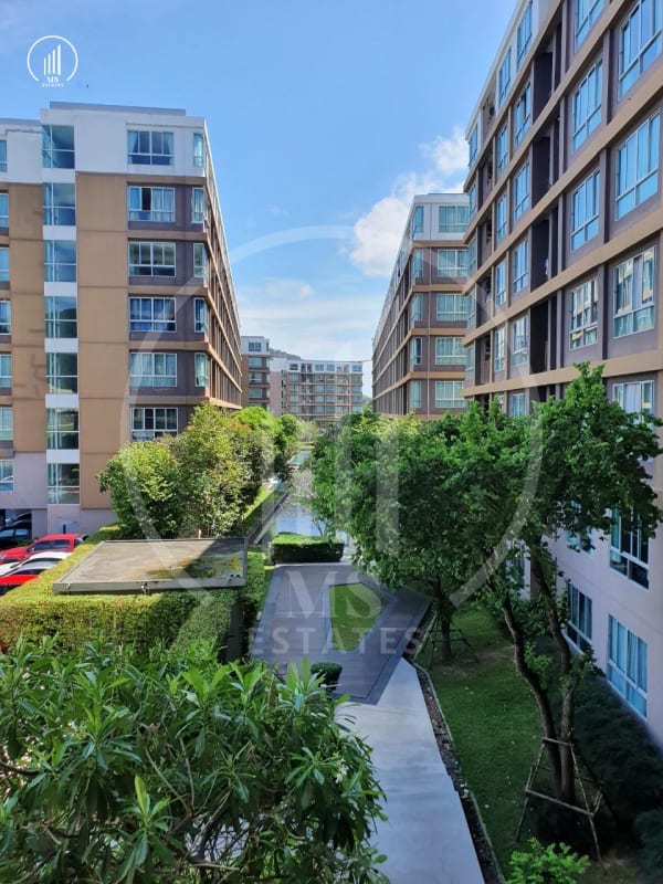 Image of Dcondo Creek  - CRKT2536