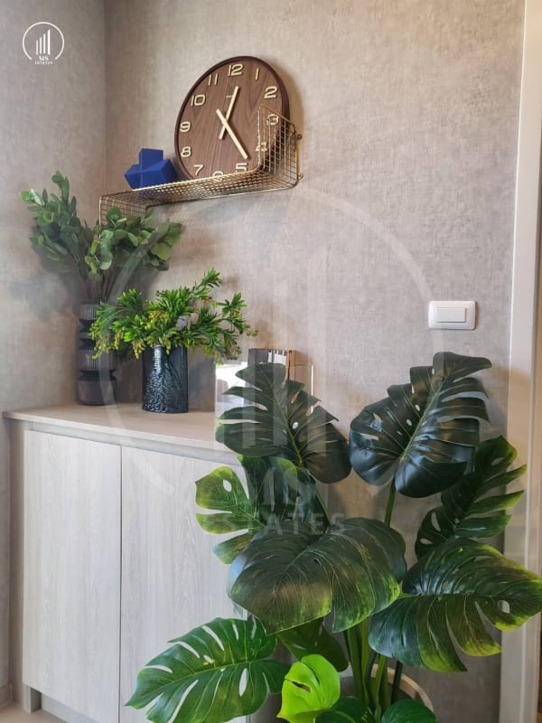Image of D Condo Reef , Brand New  - CSKT1709