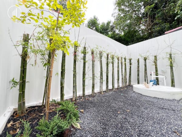 Main image of Minimalist-style house , Soi Pracharuamjai (Bo Rae) - HSWC2447