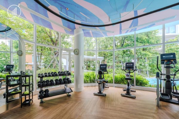 Image of Phyll phuket - CRMP2946