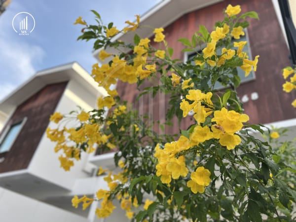 Image of Shophouse in Khwang Road, Phuket - HSKK1601