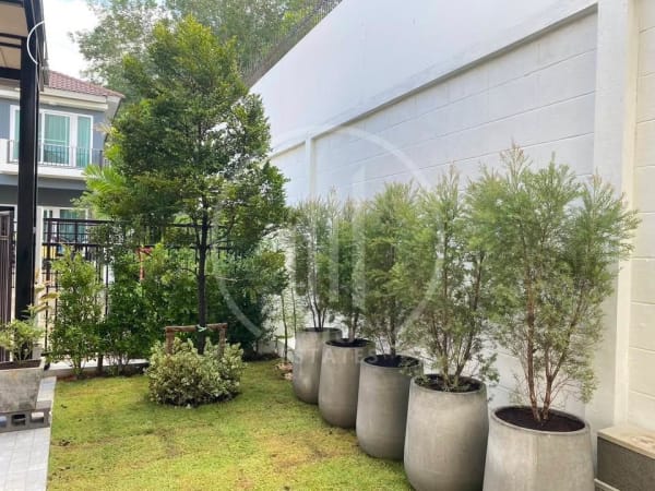 Image of Supalai Bella Thalang - HRTL2895