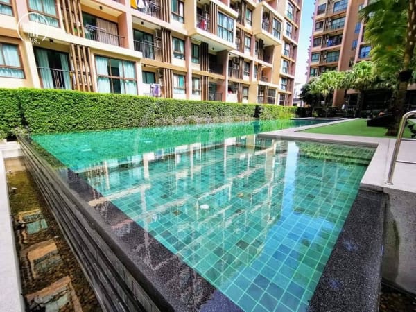 Main image of Zcape 3 - CRMP2862