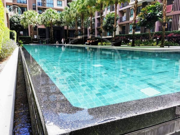 Main image of Zcape 3 - CRMP2862