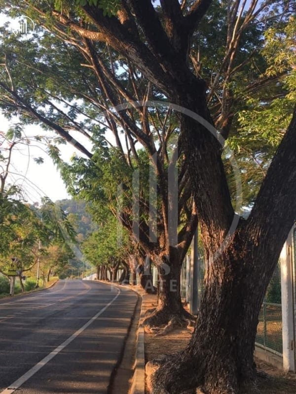 Main image of The Rich Villas, Koh Kaew. - HRKK1905