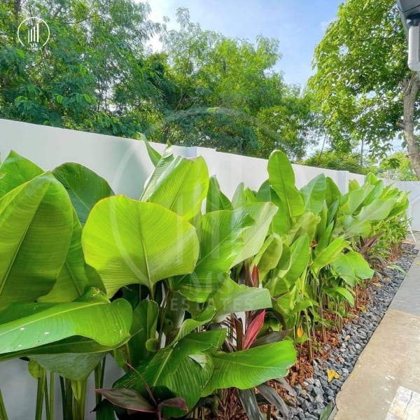 Image of Rawai Pool Villa - VSRW1833