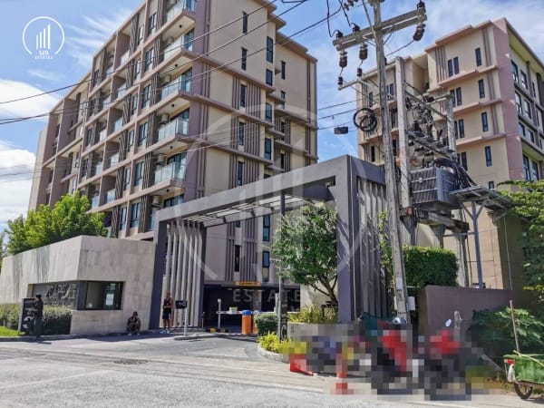 Main image of Zcape 3 - CRMP2862