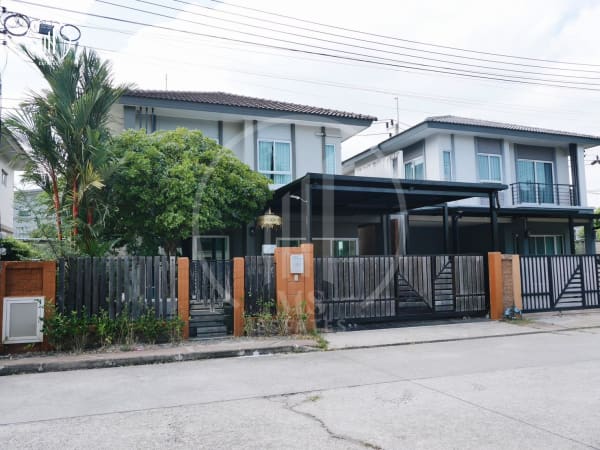 Image of The Plant Thepkrasatti Thalang  - HSTL3077