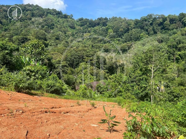 Image of Land for Sale in Kathu - LSKT1879