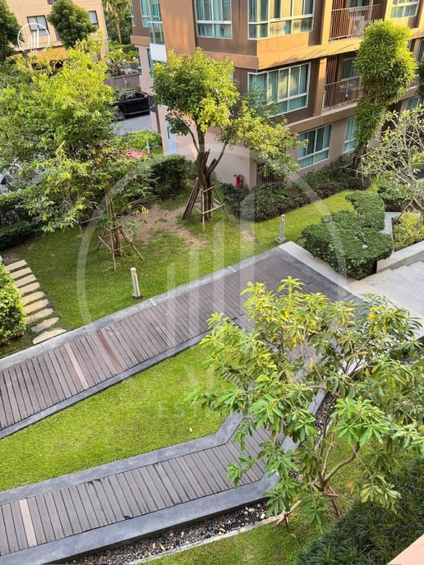 Image of Dcondo Creek  - CRKT3089